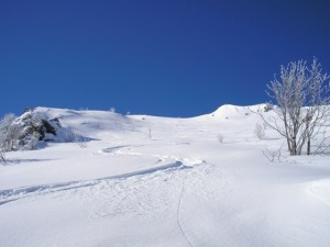 artesina