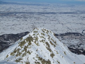 bisalta1 bisalta1
