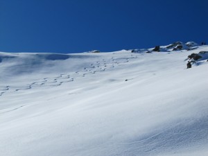 bisalta2 bisalta2