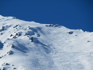 bisalta3 bisalta3