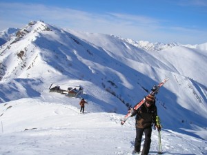 monesi2 monesi2