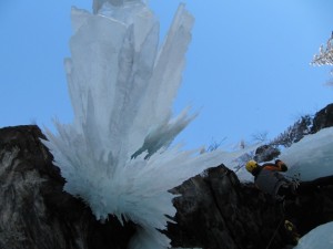 sotto1