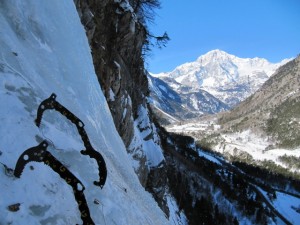 vacherie1