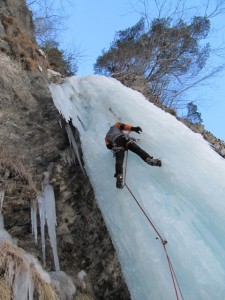 vacherie3