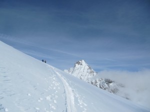 grivola1