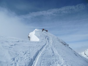grivola2