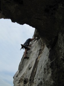 vaccari1