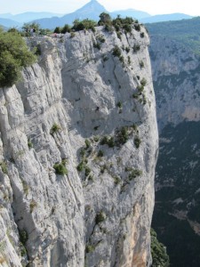 verdon2