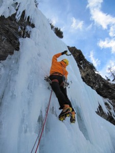 COGNE1 COGNE1