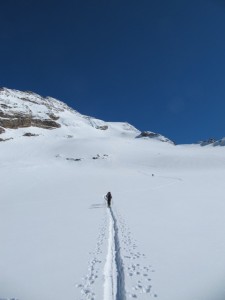 giordani1