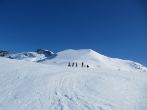 ruissas2